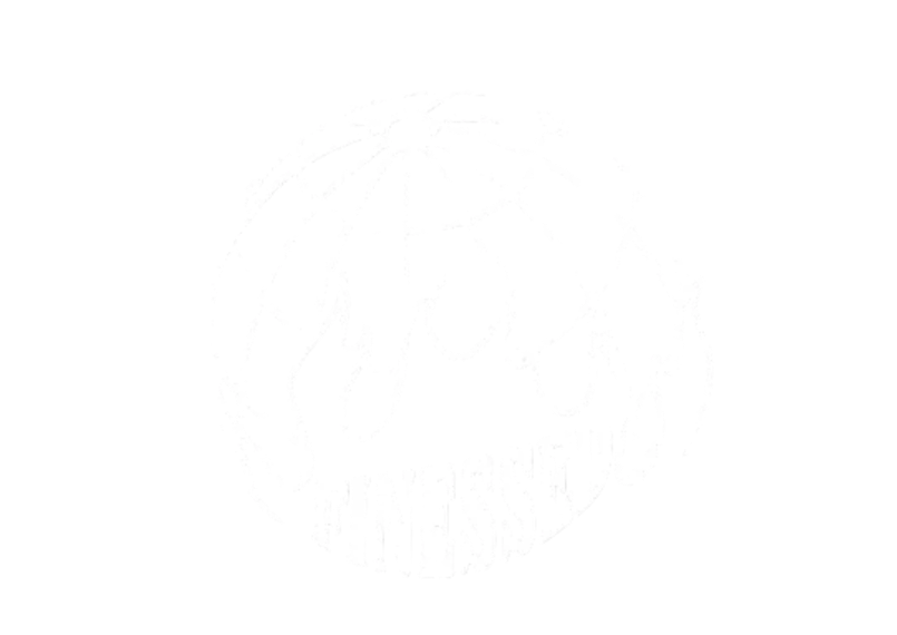 Burning Globe Decal