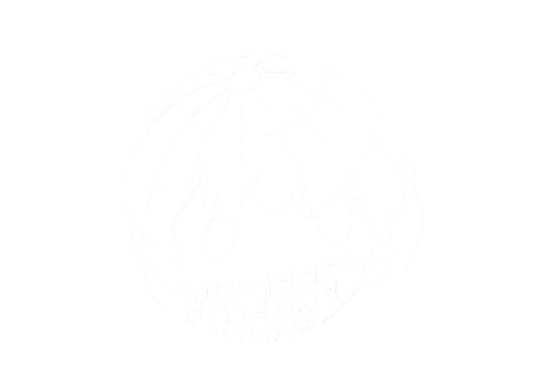 Burning Globe Decal
