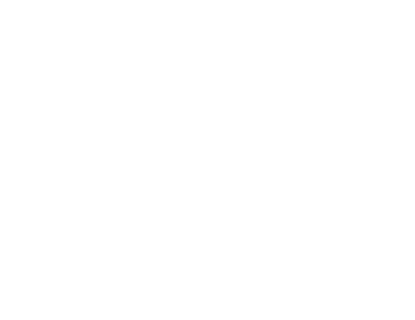 Bold Slash Banner